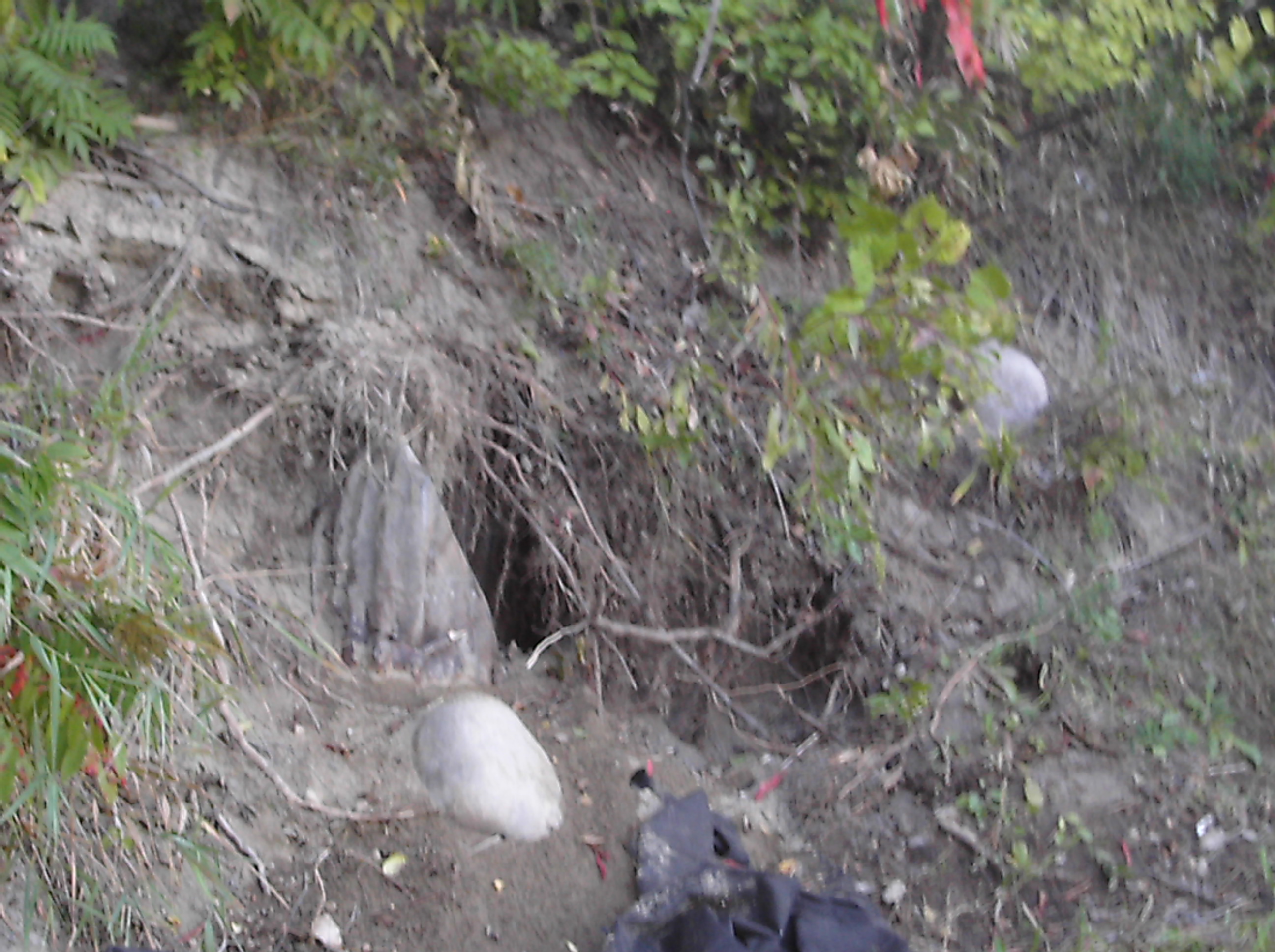 Lake Hallett storm drain reconstruction