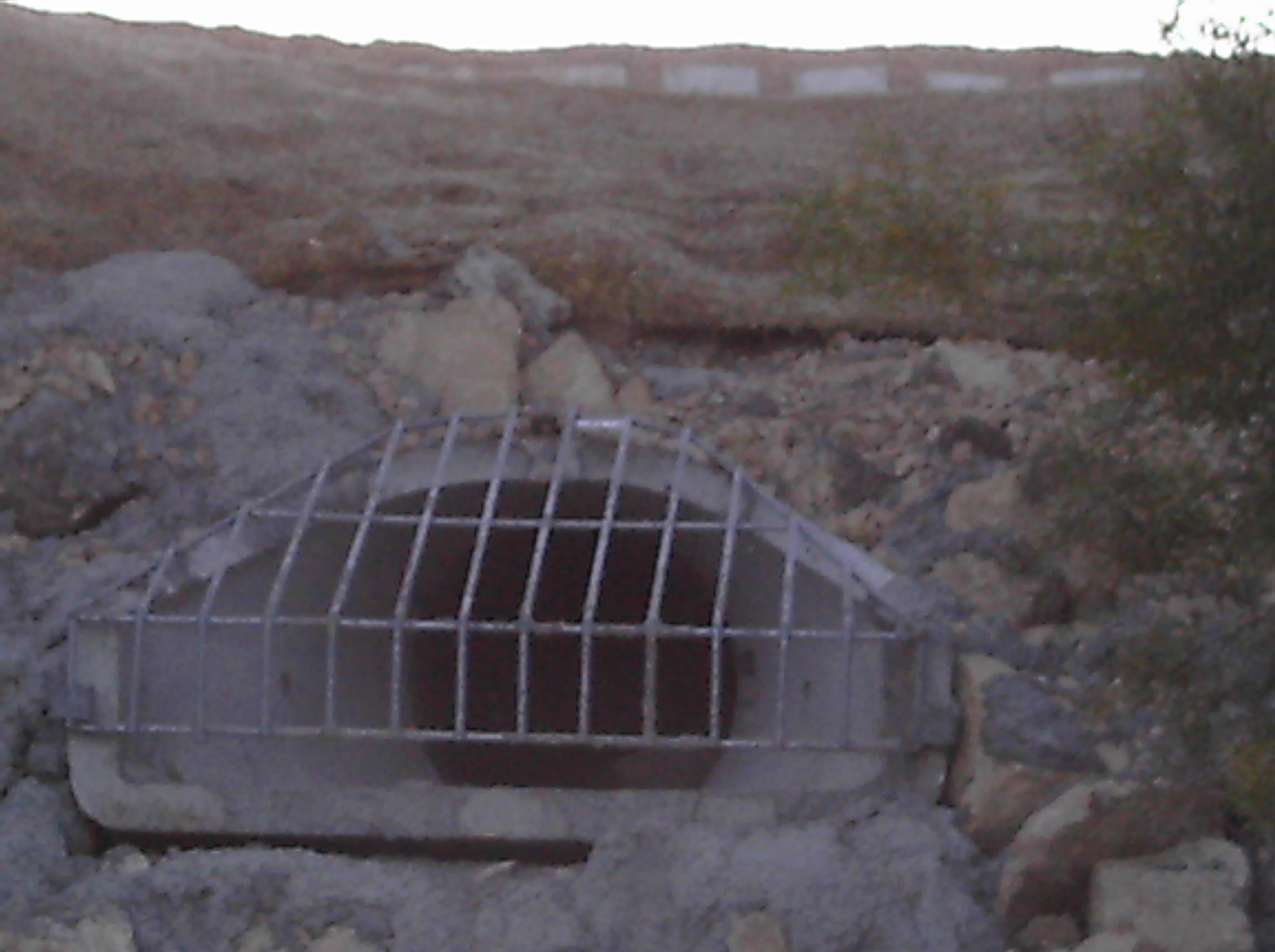Lake Hallett storm drain reconstruction
